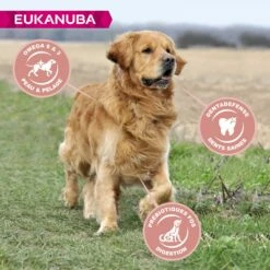 Eukanuba Senior Large Breed 9 Eukanuba Senior Large Breed -Promos Wanimo Boutique eukanuba senior large breed 1 2