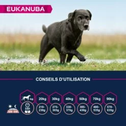 Eukanuba Senior Large Breed 12 Eukanuba Senior Large Breed -Promos Wanimo Boutique eukanuba senior large breed 1 5