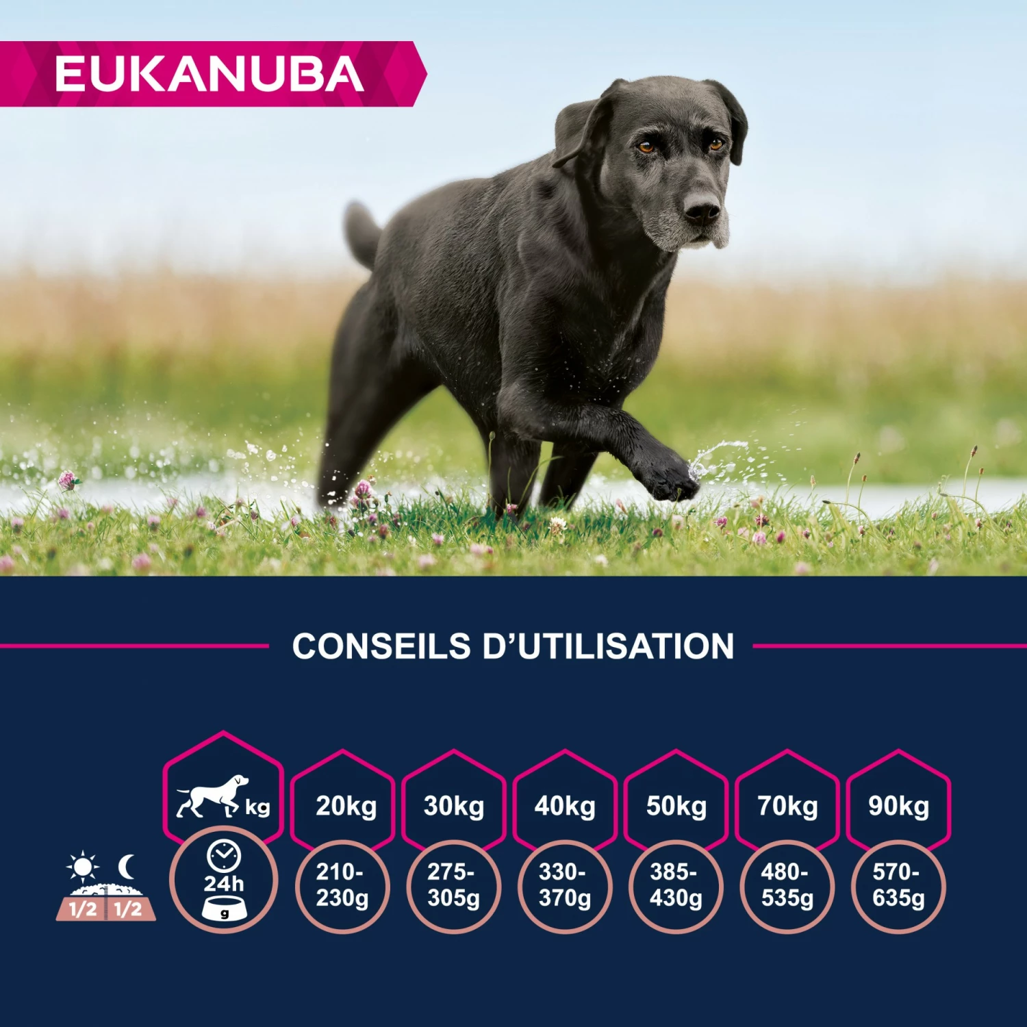 Eukanuba Senior Large Breed 6 Eukanuba Senior Large Breed – Image 6