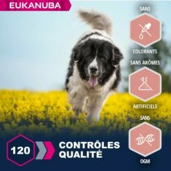 Eukanuba Senior Large Breed - Agneau Et Riz -Promos Wanimo Boutique eukanuba senior large breed agneau et riz 1 2