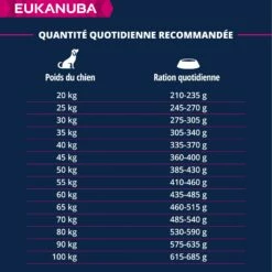 Eukanuba Senior Large Breed - Agneau Et Riz -Promos Wanimo Boutique eukanuba senior large breed agneau et riz 1 5
