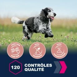 Eukanuba Senior Medium Breed - Poulet -Promos Wanimo Boutique eukanuba senior medium breed poulet 1 4