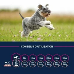 Eukanuba Senior Medium Breed - Poulet -Promos Wanimo Boutique eukanuba senior medium breed poulet 1 5