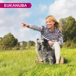 Eukanuba Senior Medium Breed - Poulet -Promos Wanimo Boutique eukanuba senior medium breed poulet 1 6
