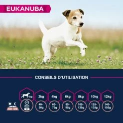 Eukanuba Senior Small Breed - Poulet -Promos Wanimo Boutique eukanuba senior small breed poulet 1 5