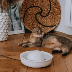 Trixie Fontaine D'eau Vital Flow -Promos Wanimo Boutique fontaine d eau vital flow trixie 3