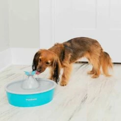 PetSafe Fontaine Drinkwell Butterfly 1,5L -Promos Wanimo Boutique fontaine drinkwell butterfly l petsafe 4