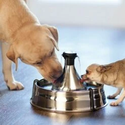 PetSafe Fontaine Drinkwell Inox 360° 3.8L -Promos Wanimo Boutique fontaine drinkwell inox l petsafe 2