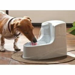 PetSafe Fontaine Drinkwell Mini 1.2L -Promos Wanimo Boutique fontaine drinkwell mini l petsafe 2