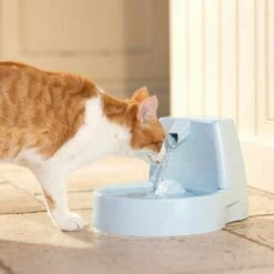 PetSafe Fontaine Drinkwell Original 1.5L -Promos Wanimo Boutique fontaine drinkwell original l petsafe 2