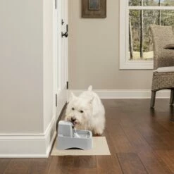 PetSafe Fontaine Drinkwell PWW19 -Promos Wanimo Boutique fontaine drinkwell pww petsafe 6