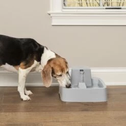 PetSafe Fontaine Drinkwell PWW19 -Promos Wanimo Boutique fontaine drinkwell pww petsafe 7