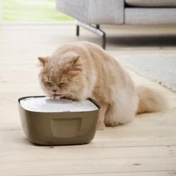 Savic Fontaine Volcano