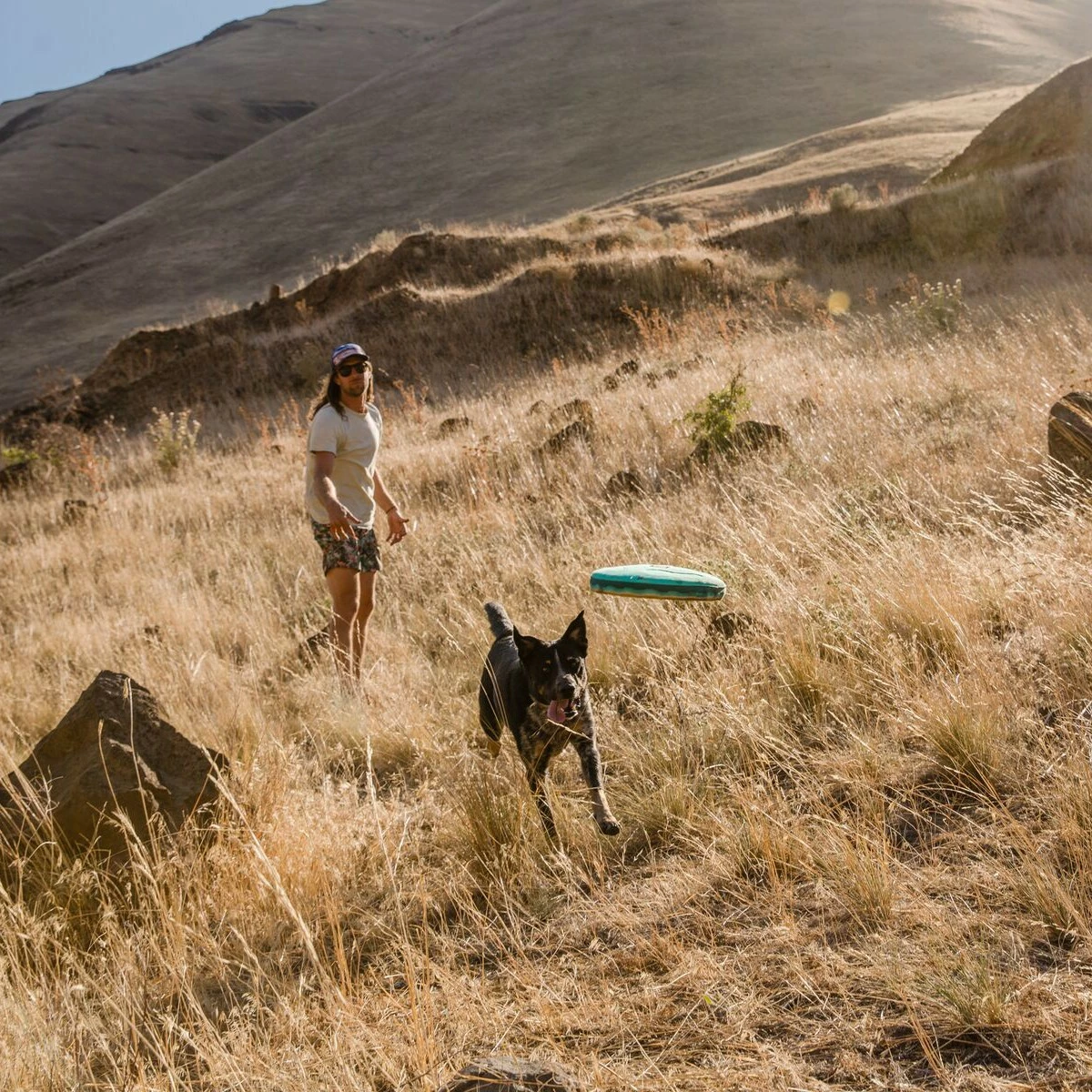 Ruffwear Frisbee Hover Craft™ 4 Ruffwear Frisbee Hover Craft™ – Image 4