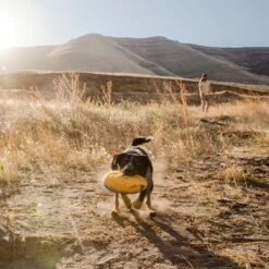 Ruffwear Frisbee Hover Craft™ 9 Ruffwear Frisbee Hover Craft™ -Promos Wanimo Boutique frisbee hover craft ruffwear 4