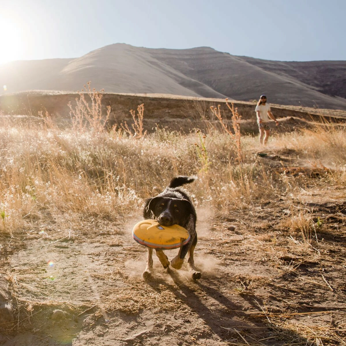 Ruffwear Frisbee Hover Craft™ 5 Ruffwear Frisbee Hover Craft™ – Image 5