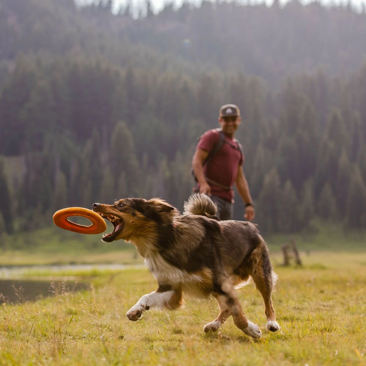 Ruffwear Frisbee Hydro Plane™ 4 Ruffwear Frisbee Hydro Plane™ – Image 4