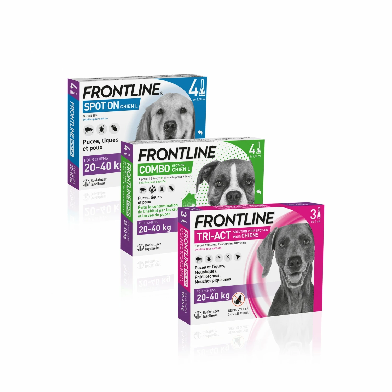 Frontline Tri-act Chien 16 Frontline Tri-act Chien – Image 16