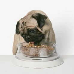 Gamelle Balance Volcano 11 Gamelle Balance Volcano -Promos Wanimo Boutique gamelle balance volcano pidan 3