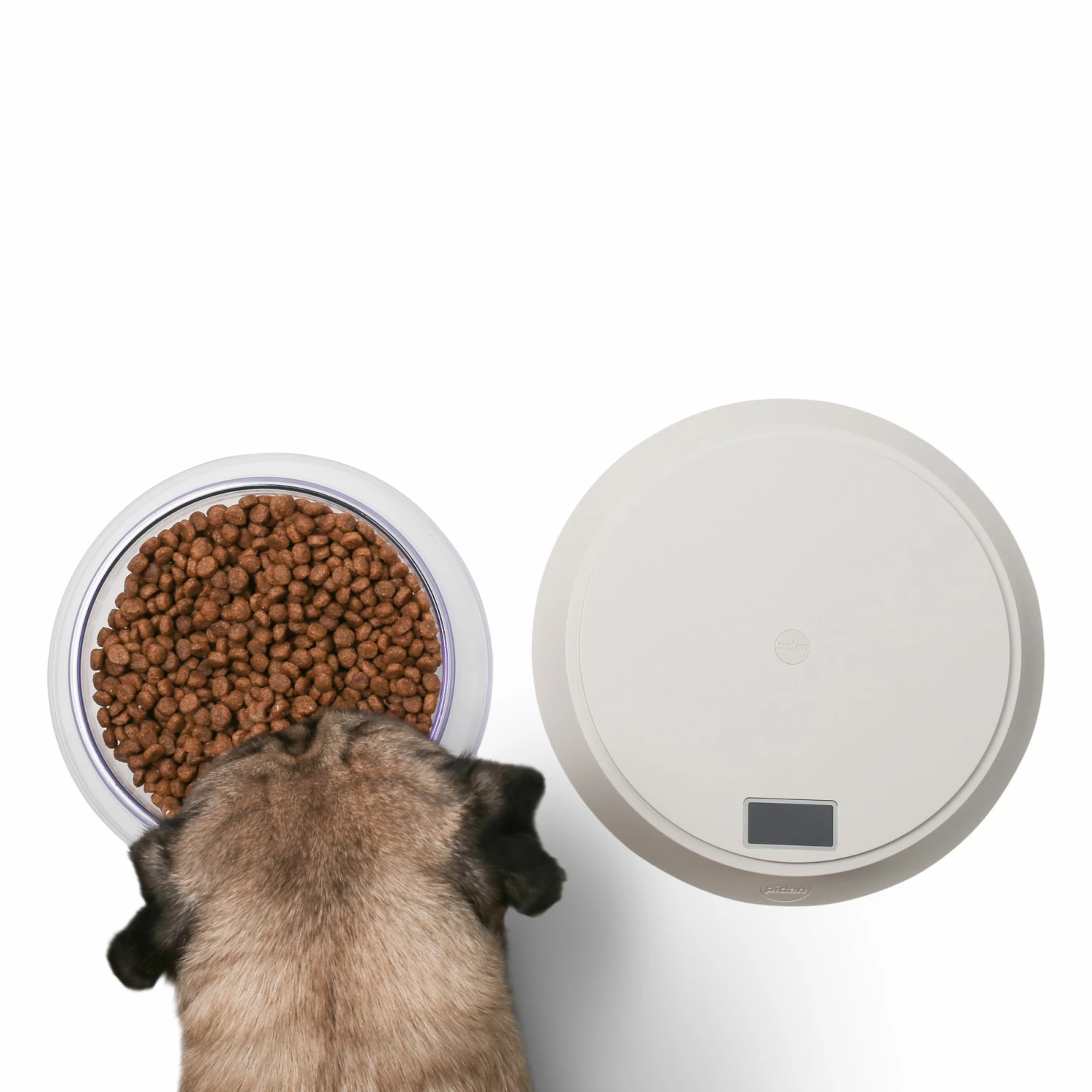 Gamelle Balance Volcano 8 Gamelle Balance Volcano – Image 8