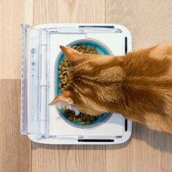 Gamelle Hermétique -Promos Wanimo Boutique gamelle hermetique surefeed 7