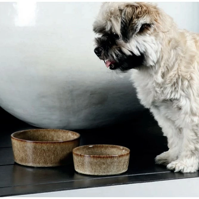 D&D Gamelle Jasper 2 D&D Gamelle Jasper – Image 2