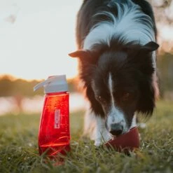 Kurgo Gourde Bottle & Bowl 15 Kurgo Gourde Bottle & Bowl -Promos Wanimo Boutique gourde bottle bowl kurgo 7