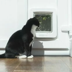 Grande Chatière électronique Connect -Promos Wanimo Boutique grande chatiere electronique connect sureflap 7