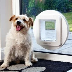 Grande Chatière électronique SureFlap -Promos Wanimo Boutique grande chatiere electronique sureflap sure petcare 4