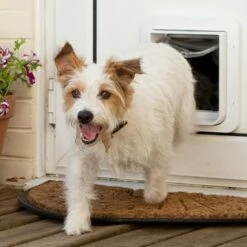 Grande Chatière électronique SureFlap -Promos Wanimo Boutique grande chatiere electronique sureflap sure petcare 5