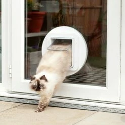 Grande Chatière électronique SureFlap -Promos Wanimo Boutique grande chatiere electronique sureflap sure petcare 7