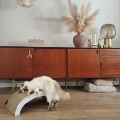 District 70 Griffoir Arch -Promos Wanimo Boutique griffoir arch district 1 4