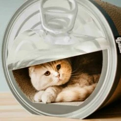 District 70 Griffoir Can -Promos Wanimo Boutique griffoir can district 1 4