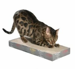 BOBBY Griffoir Grifouille