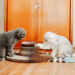 District 70 Griffoir Maze 15 District 70 Griffoir Maze -Promos Wanimo Boutique griffoir maze district 1 7