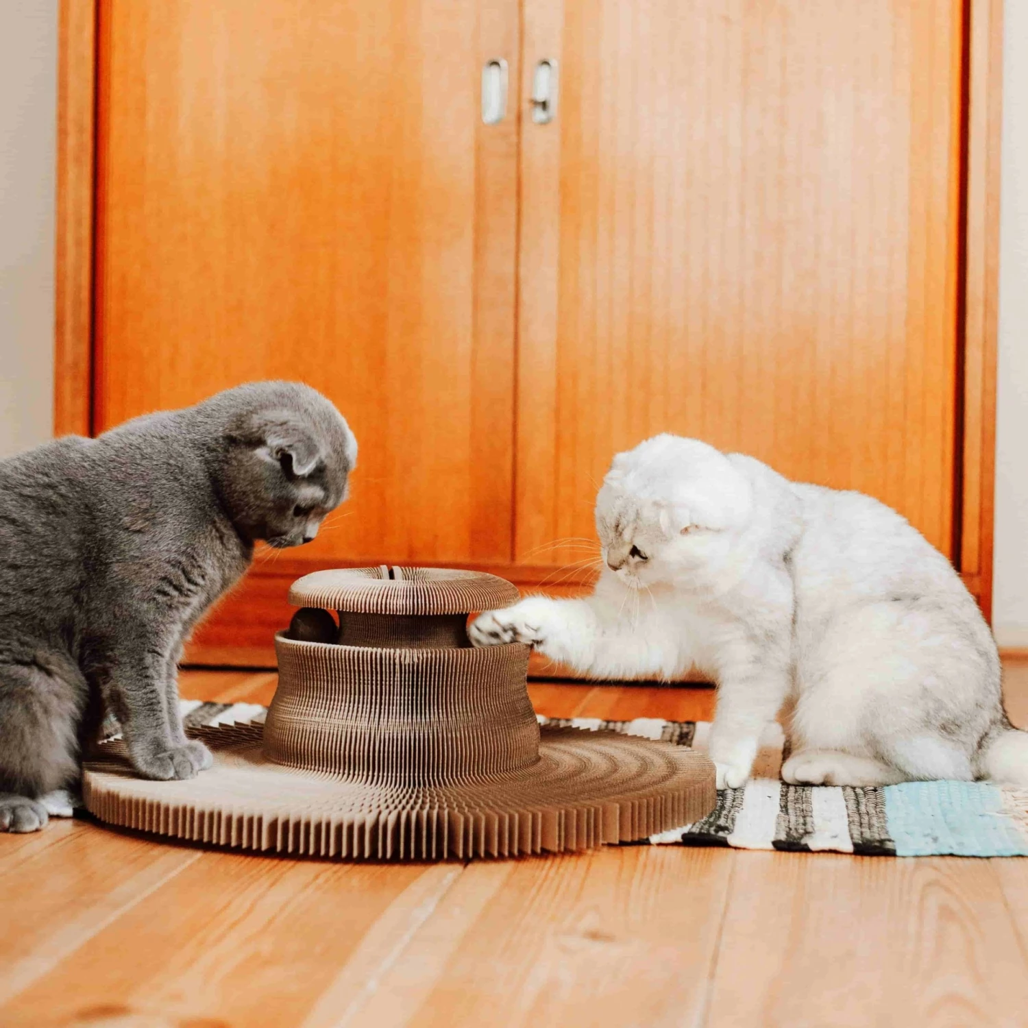 District 70 Griffoir Maze 8 District 70 Griffoir Maze – Image 8