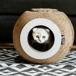 District 70 Griffoir Orb -Promos Wanimo Boutique griffoir orb district 1 7