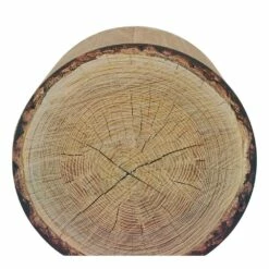 District 70 Griffoir Trunk -Promos Wanimo Boutique griffoir trunk district 1 2