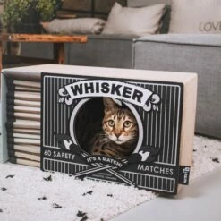 District 70 Griffoir Whisker - Noir -Promos Wanimo Boutique griffoir whisker noir district 1 2