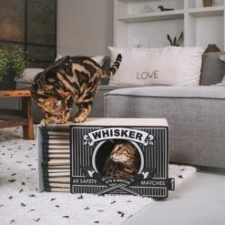 District 70 Griffoir Whisker - Noir -Promos Wanimo Boutique griffoir whisker noir district 1 3