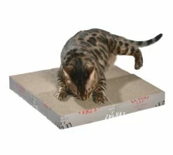 BOBBY Griffoir Zigzag Modulable