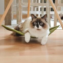 Hamac Triangulaire -Promos Wanimo Boutique hamac triangulaire pidan studio 2