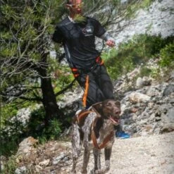 Harnais Canicross X-BACK ONE -Promos Wanimo Boutique harnais canicross x back one i dog 2