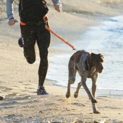 Harnais Canicross X-BACK ONE -Promos Wanimo Boutique harnais canicross x back one i dog 4