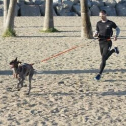 Harnais Canicross X-BACK ONE -Promos Wanimo Boutique harnais canicross x back one i dog 5