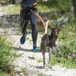 Harnais Canicross X-BACK ONE -Promos Wanimo Boutique harnais canicross x back one i dog 6