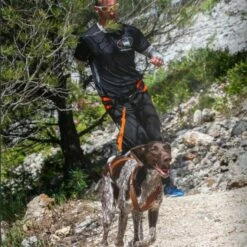 Harnais Canicross X-BACK ONE -Promos Wanimo Boutique harnais canicross x back one i dog 9