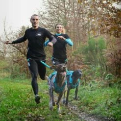 Harnais Canicross X-Back Phoenix -Promos Wanimo Boutique harnais canicross x back phoenix i dog 2