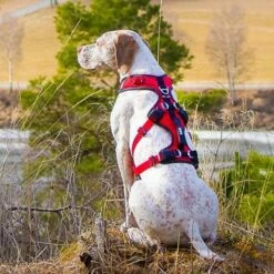 Harnais Confort Trek 10 Harnais Confort Trek -Promos Wanimo Boutique harnais confort trek i dog 3