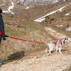 Harnais Confort Trek 11 Harnais Confort Trek -Promos Wanimo Boutique harnais confort trek i dog 4